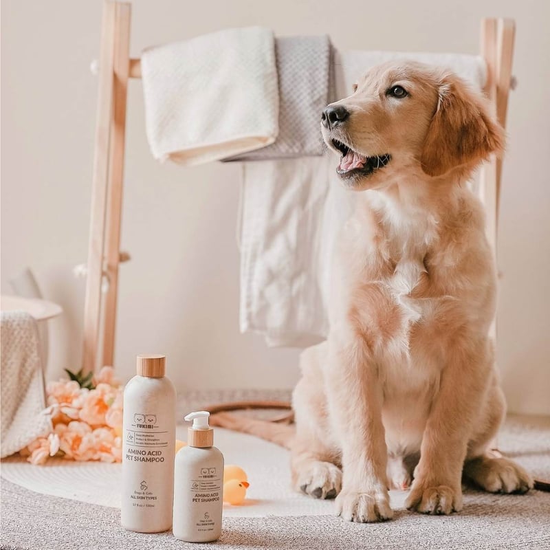 CATEGORY CARE | モフモフ mof_mof｜北欧デザインのペットグッズ