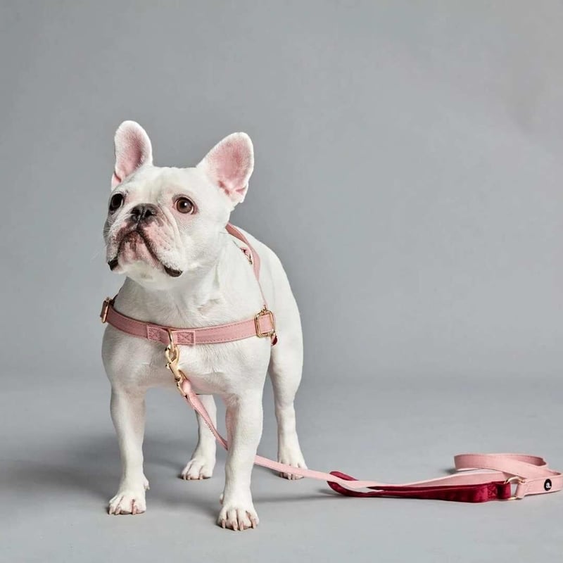 Amble] ツートン ハーネス ピンク/オリーブ | モフモフ mof_mof｜北欧