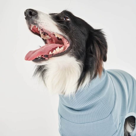 [furryfolks]  ストレッチジャンプスーツ くすみブルー Sから3XLまで