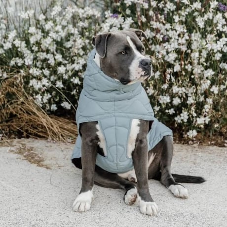 [Kentucky Dogwear] 防水ソフトコート くすみブルー