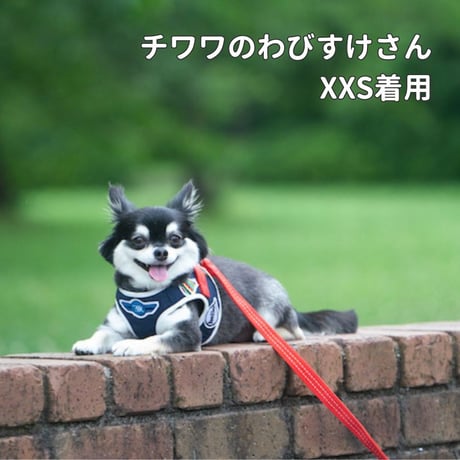 [BBR]  FUWA ハーネス ネイビー