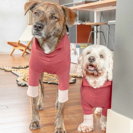 [furryfolks]  High Neck Tee ビンテージレッド/ライトグレー