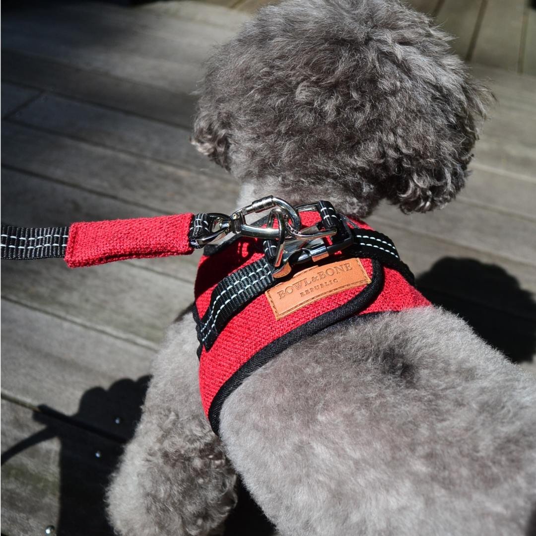 Bowl&Bone ハーネス リード セット BBR FUWA 犬 散歩 Bowl&Bone ハーネス リード セット BBR FUWA 犬 散歩