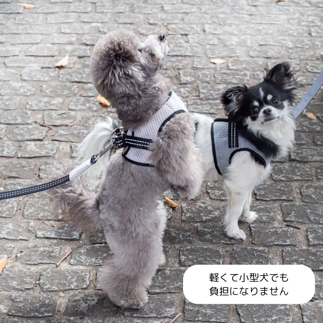 Bowl&Bone ハーネス リード セット BBR FUWA 犬 散歩 BBR] FUWA ハーネス クリーム | モフモフ mof_mof｜北欧デザインの