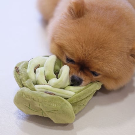 [Pups & Bubs]  キャベツ ノーズワーク