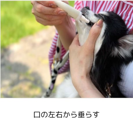 [nanowell] オーラルケア for DOG / for CAT