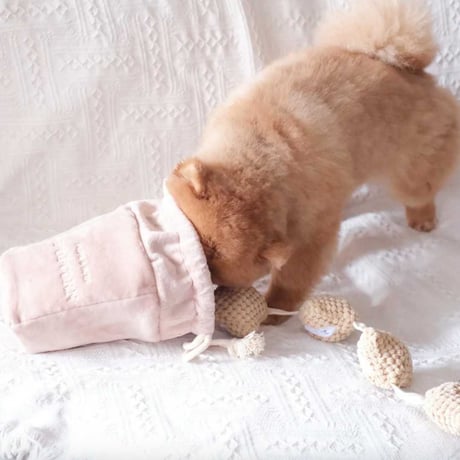 [Pups & Bubs]  ポップコーン ノーズワーク
