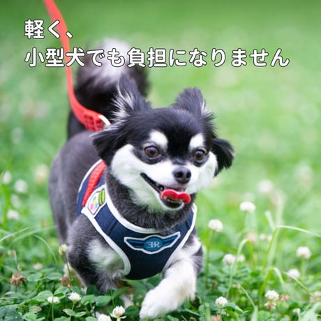[BBR]  FUWA ハーネス ネイビー