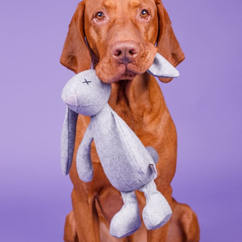 LILLY] うさぎさん | モフモフ mof_mof｜北欧デザインのペットグッズ