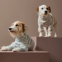 [Striped Dog]  ハイネック リブ ボーダー ２色