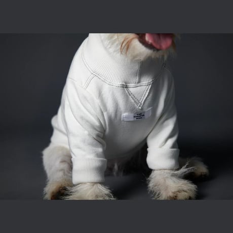 [Striped Dog]  スウェット  クリーム/ブルーグレー