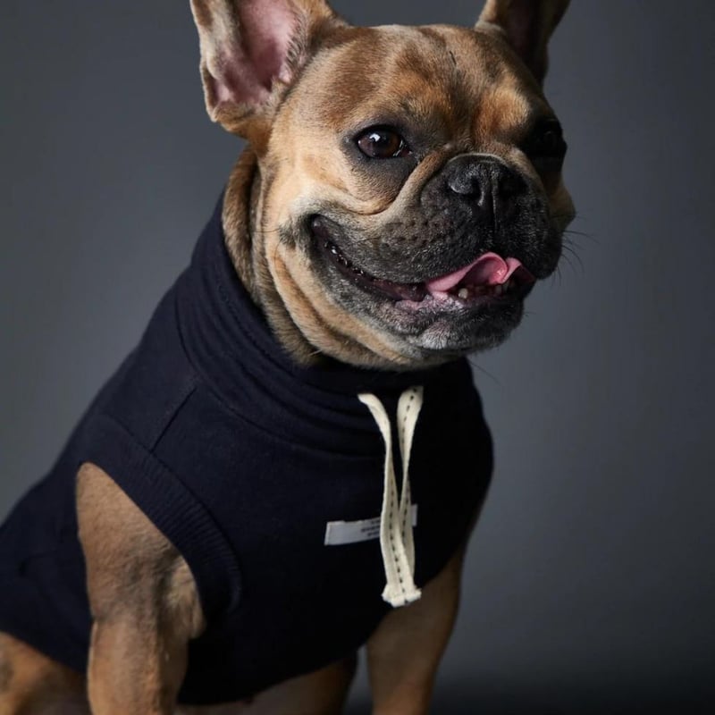 M☆C様❤️秋冬♡くま耳フード♡アランニット♡ハートニット♡ハンドメイド犬服 M☆C様❤️秋冬♡くま耳フード♡アランニット♡ハートニット