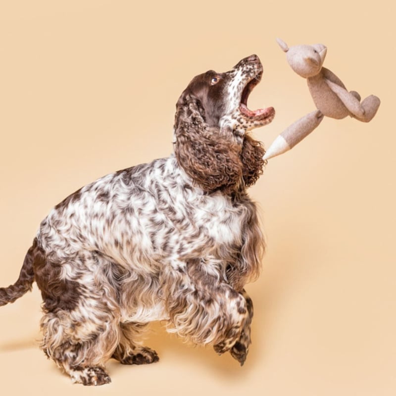 LILLY] オオカミさん | モフモフ mof_mof｜北欧デザインのペットグッズ