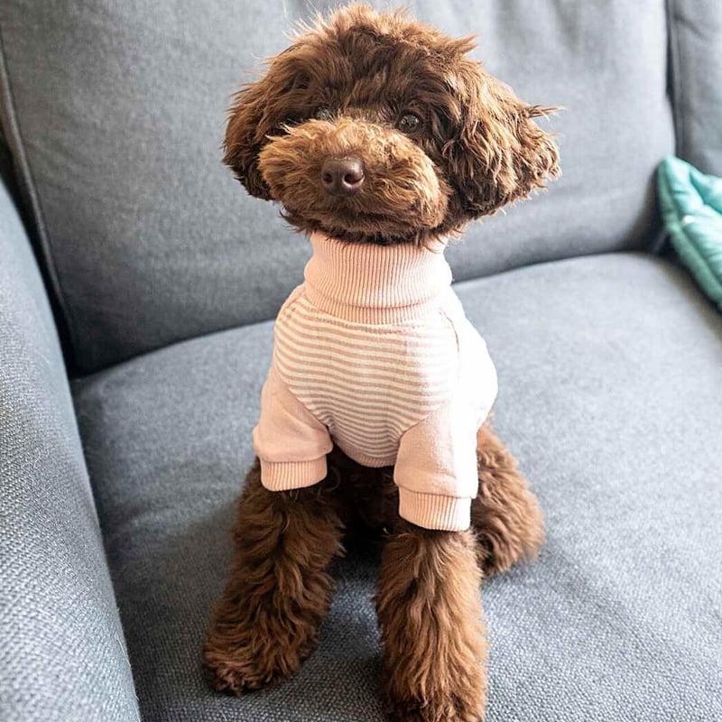 CATEGORY rororiri | モフモフ mof_mof｜北欧デザインのペットグッズ