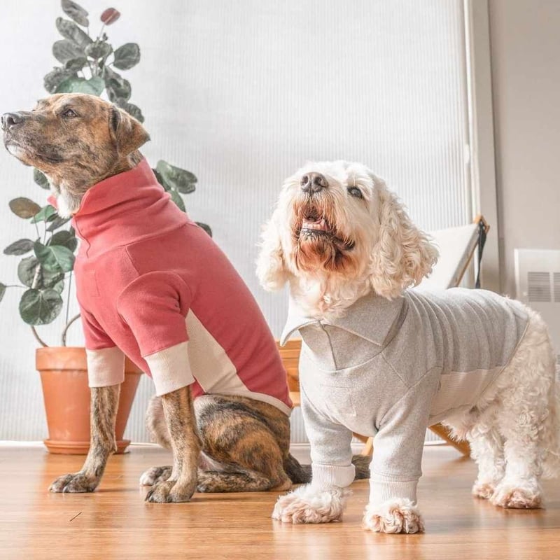 CATEGORY ハイネック | モフモフ mof_mof｜北欧デザインのペット