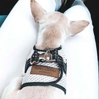 [BBR]  FUWA Harness クリーム