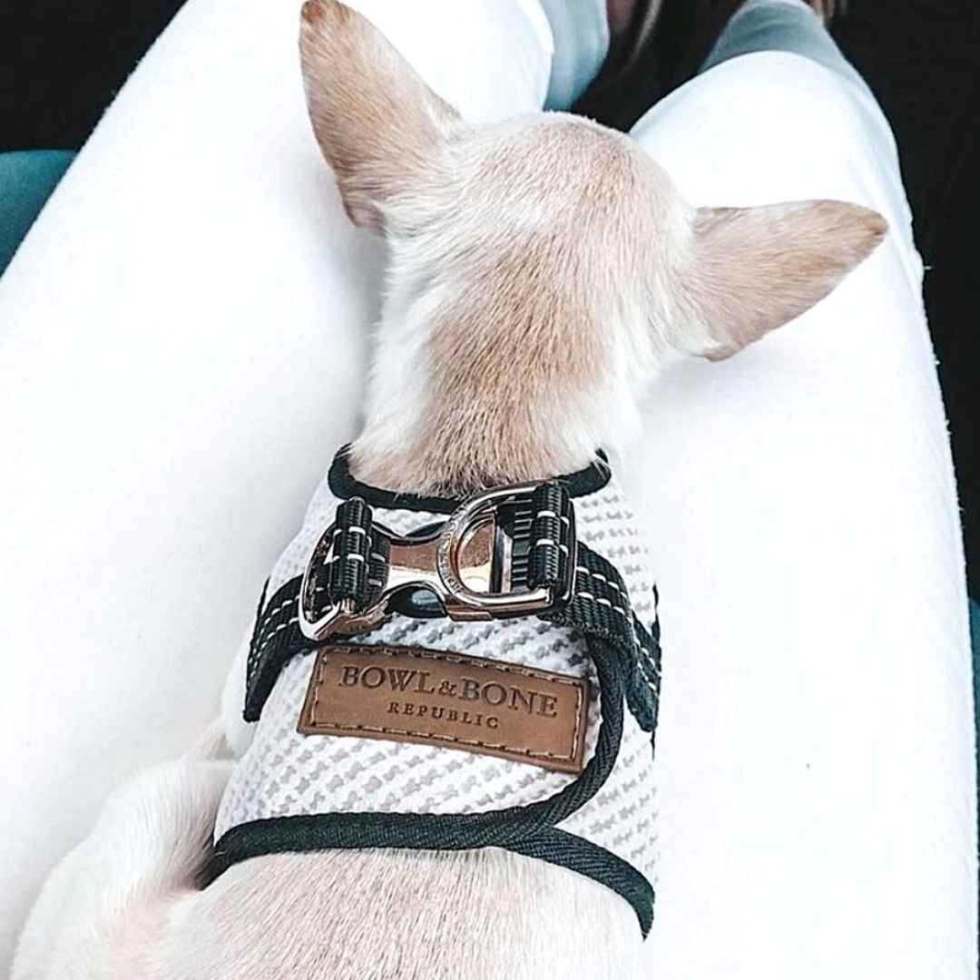 BBR] FUWA ハーネス クリーム | モフモフ mof_mof｜北欧デザインの