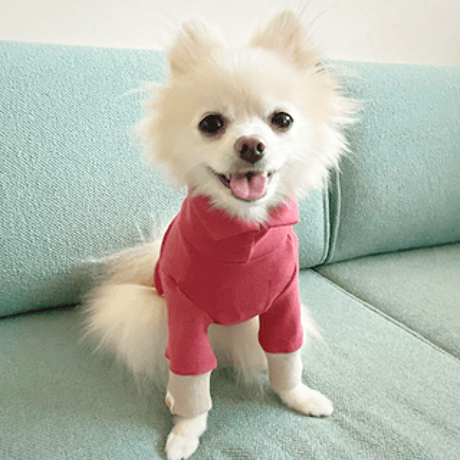 [furryfolks]  High Neck Tee ビンテージレッド/ライトグレー