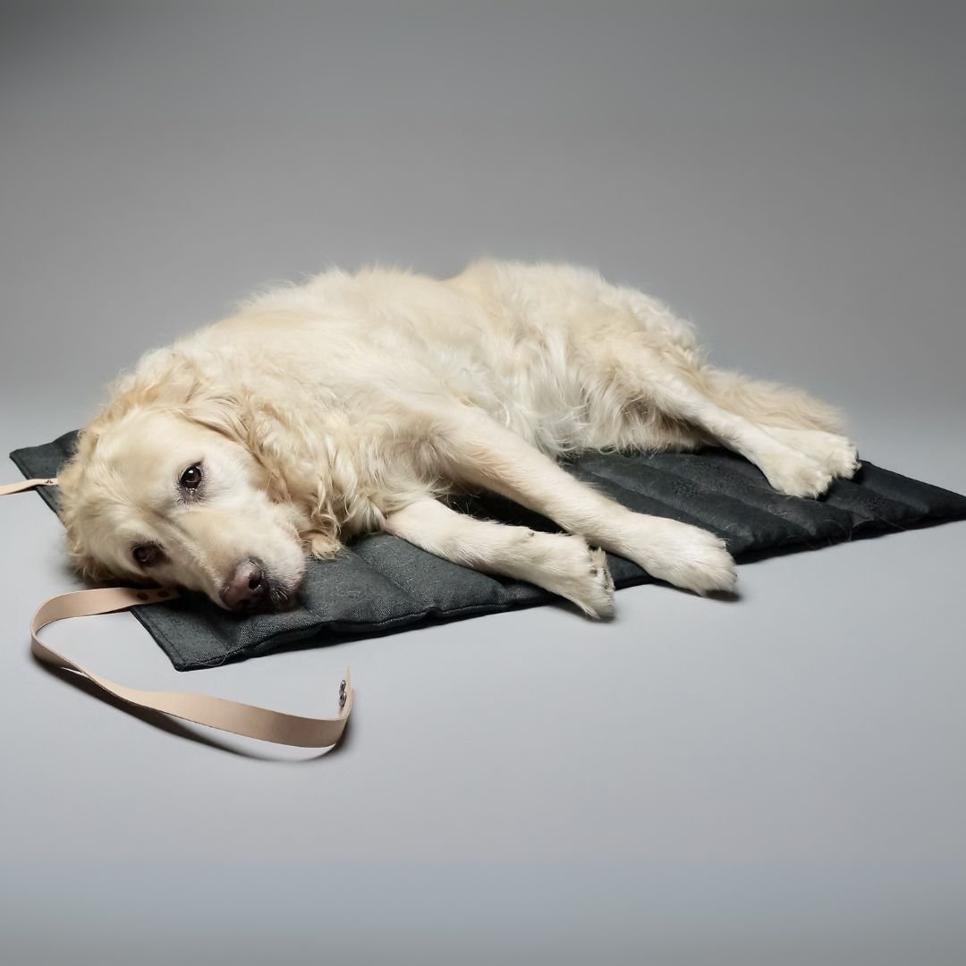 Labbvenn] カフェマット ベージュブラウン/チャコールグレー