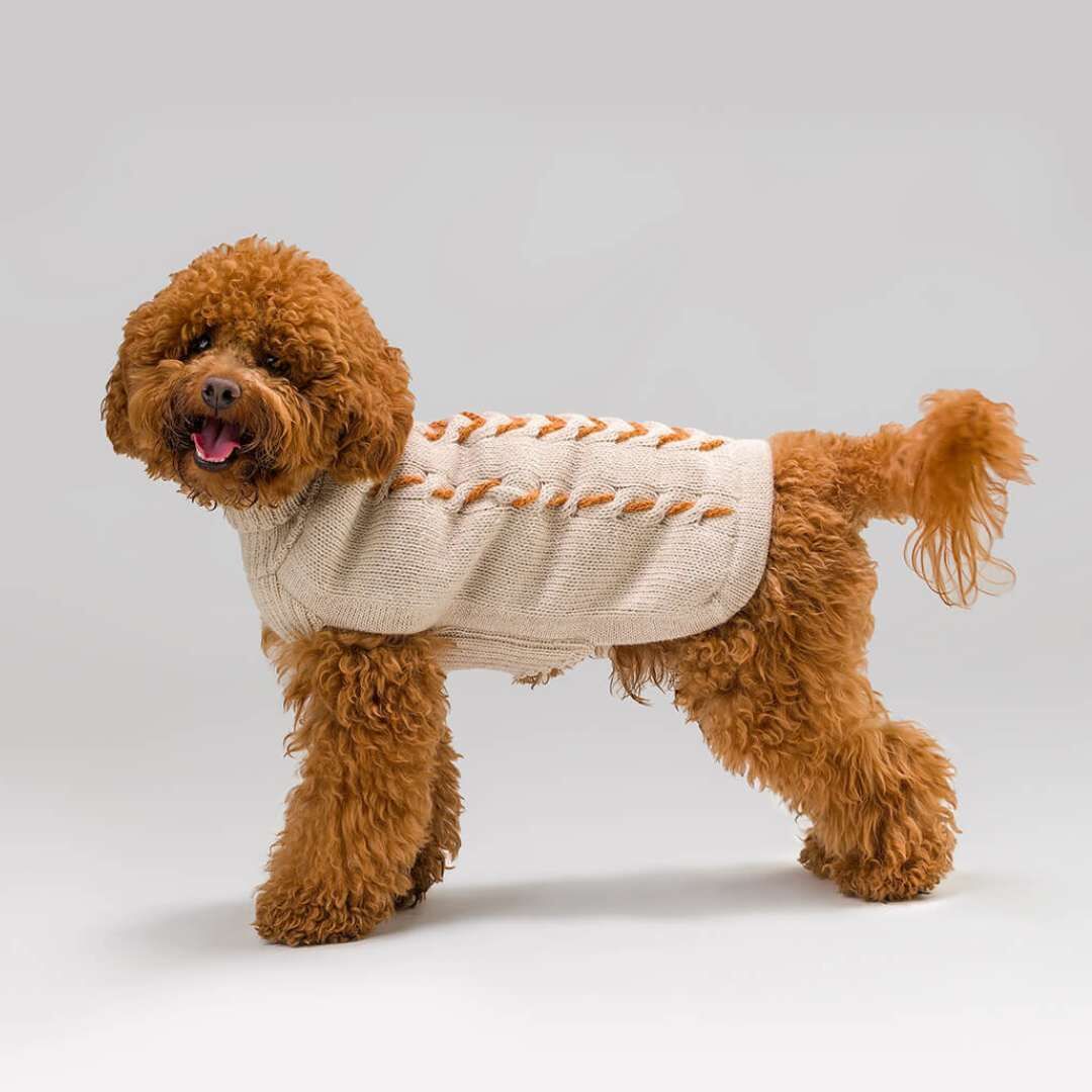 ALQO WASI ] アルパカニット ナチュラル | モフモフ mof_mof｜北欧