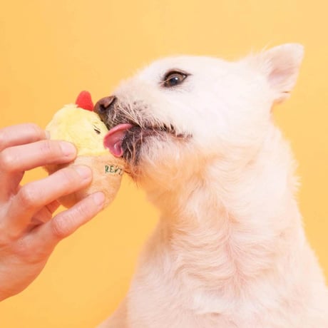 [furryfolks] エッグマット ノーズワーク