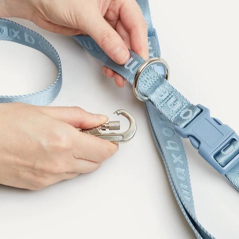 首輪・ハーネス・リード max bone Isabel Leash S/M max-bone] GO! Easy ハーネス 7色 | モフモフ mof_mof｜北欧デザ