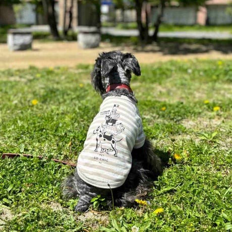 [PET SO CHIC] エッフェル塔 ボーダーTシャツ ベージュ/グレー