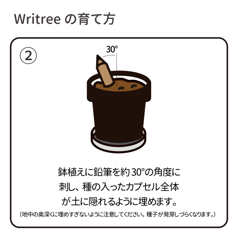 木になる鉛筆『Writree』 使い終わった鉛筆でクリスマスツリーを育て