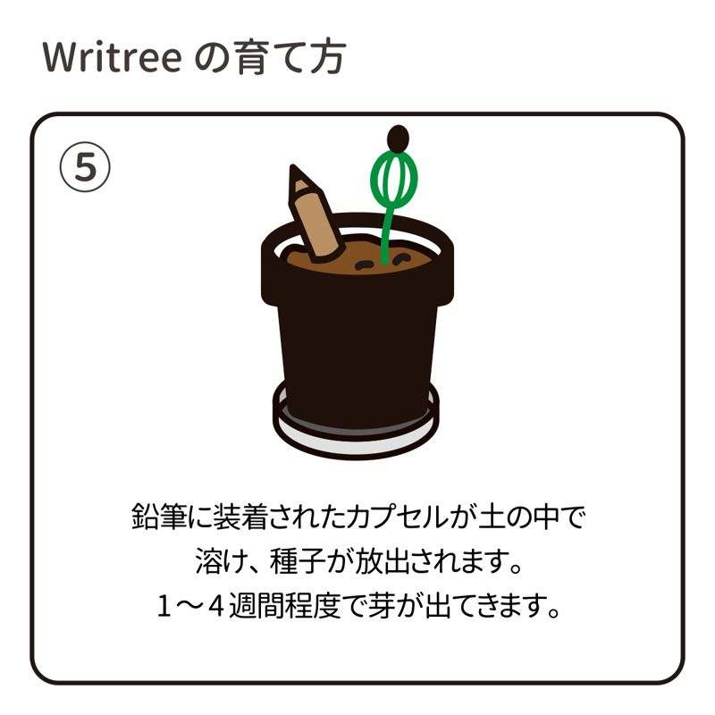 木になる鉛筆『Writree』 使い終わった鉛筆でクリスマスツリーを育て