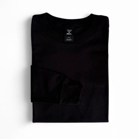 HANES USA＂BEEFY-T L/S T-SHIRT＂