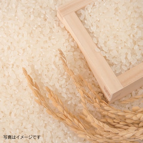 12ヶ月 おトク便（上伊那産コシヒカリ+加工品）