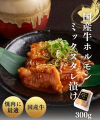 【家庭用/BBQ】国産牛ミックスホルモン（タレ付け）　300g