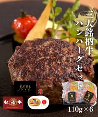 [品番S-4] 3大銘柄牛(神戸・松阪・近江) 食べ比べ生ハンバーグセット(110g×6個)