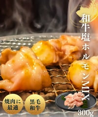 【数量限定】和牛塩ホルモンMIX300g