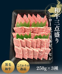 特選A5 黒毛和牛3種盛（ロース/カルビ/ヒレ）