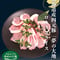 北海道産 四元豚 『夢の大地』 ローススライス500g×2P（ｼｰﾄ引き）
