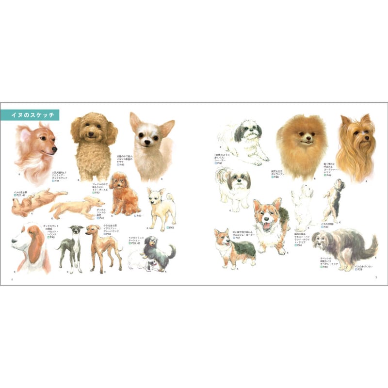 見てすぐ描ける 動物スケッチ | みみずくの本屋さん