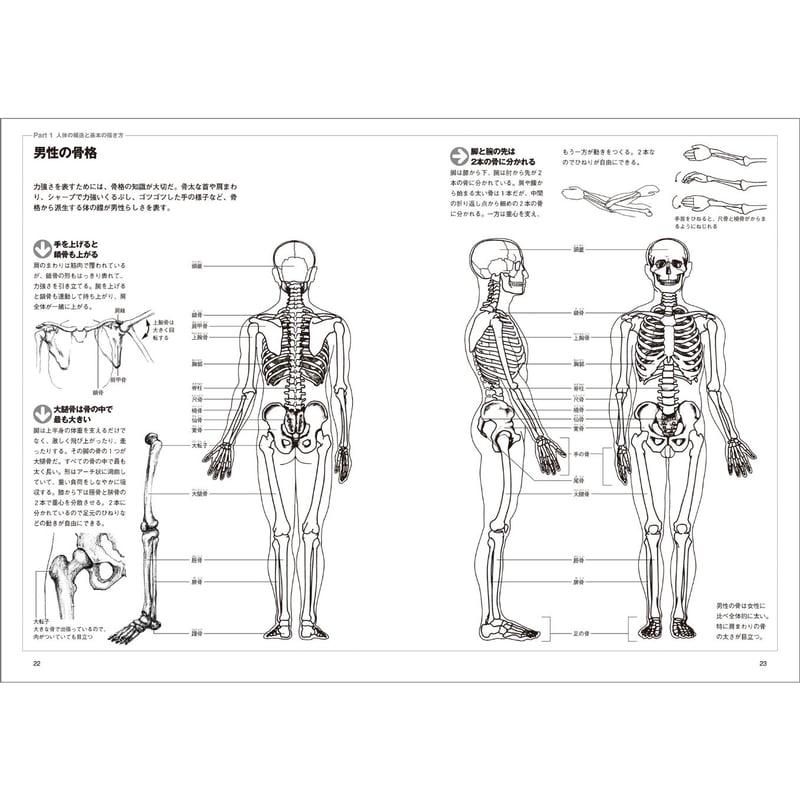 基本はかんたん人物画 | みみずくの本屋さん