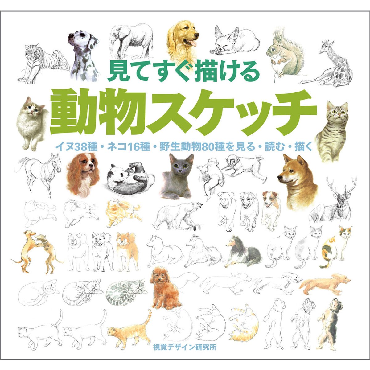動物を描く 見てすぐ描ける 動物スケッチ | みみずくの本屋さん