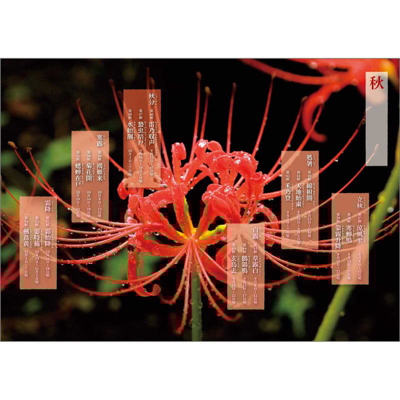 絵銭・六条銭 月行千里☆佳品／ほとんど見かけない絵柄の希少絵銭／e1-7