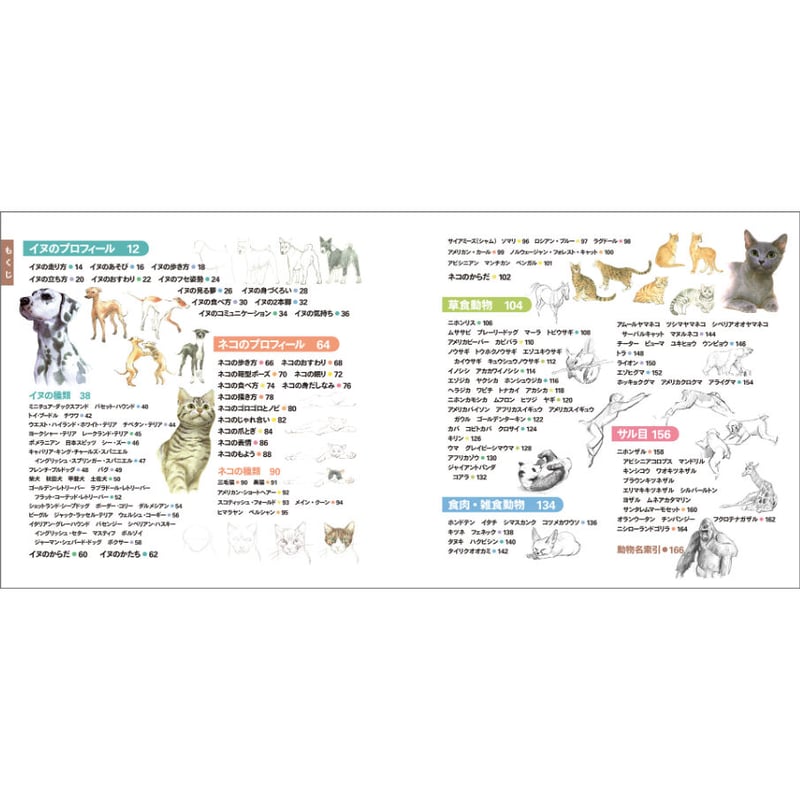 見てすぐ描ける 動物スケッチ | みみずくの本屋さん