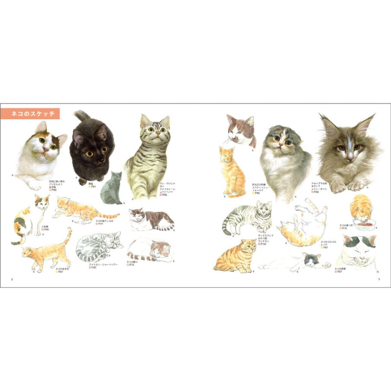 見てすぐ描ける 動物スケッチ | みみずくの本屋さん