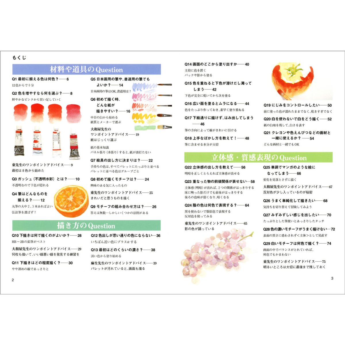 ここが知りたい 水彩まるごとQ&A | みみずくの本屋さん