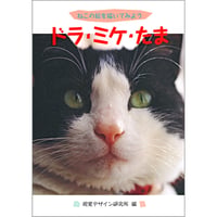ドラ・ミケ・たま　～ねこの絵を描いてみよう～