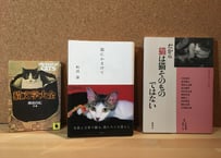 203_猫デュクシ
