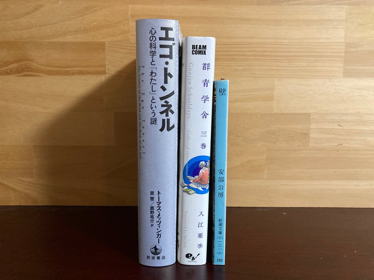 384_とある意識の三者面談（鎖書o） | Bricolasile Santana Chain