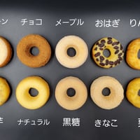 配送用　半生ドーナツ詰合せ　20個入り(7日営業日以内に出荷します)