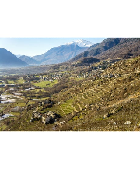 スフォルツァート ディ ヴァルテッリーナ2016 / アルフィオ・モッチィ　Sforzato di Valtellina  / Alfio Mozzi