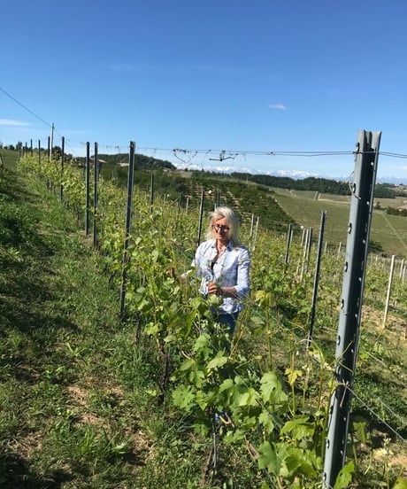 ランゲ・ネッビオーロ 2018 / オレステ・ステファノ　Langhe Nebbiolo / Oreste Stefano