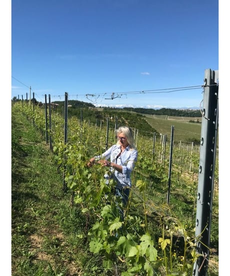 バローロ・ペルノ 2015 / オレステ・ステファノ　Barolo Perno  / Oreste Stefano